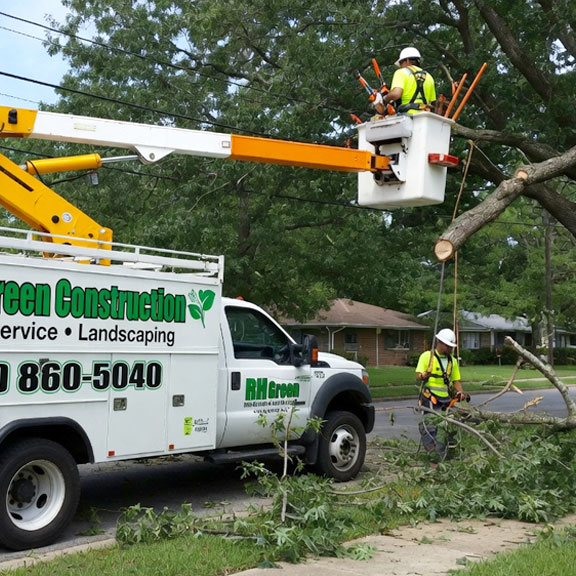 tree removal tree trimming services Evansville Tree Service Owensboro Hopkinsville Newburgh